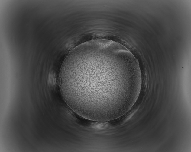 X0000085770135200703231232