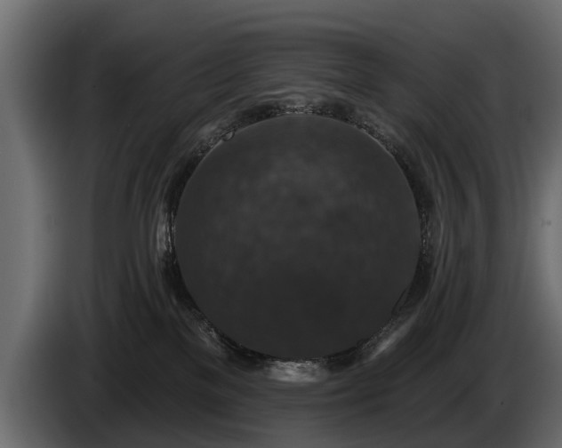 X0000085770137200703231232