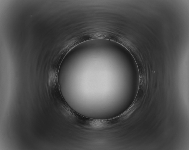 X0000085770142200703231232