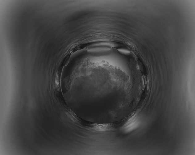 X0000085770143200703231232