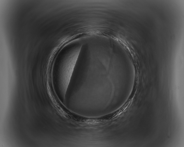 X0000085770145200703231231