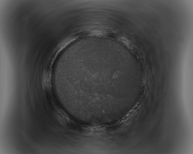 X0000085770146200703231231