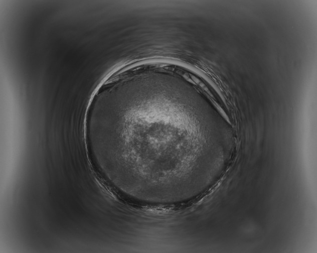 X0000085770148200703231231