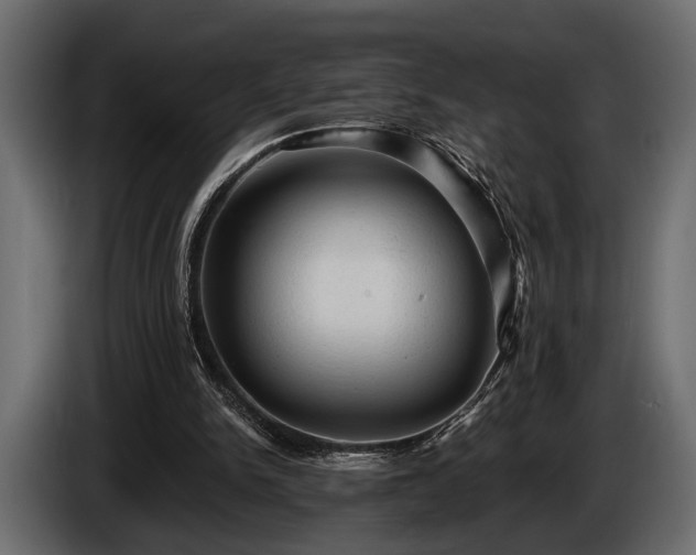 X0000085770150200703231231