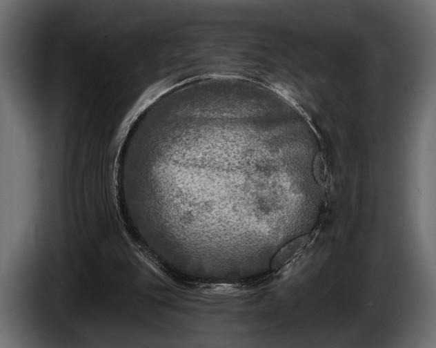 X0000085770151200703231231