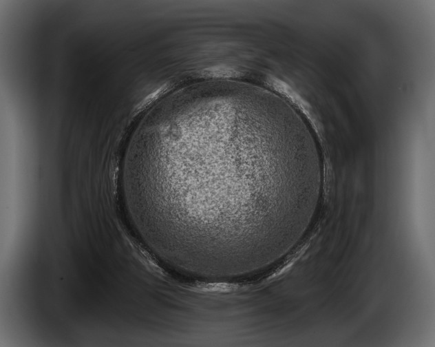 X0000085770153200703231231