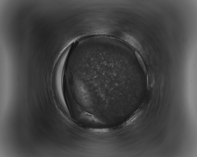 X0000085770156200703231231