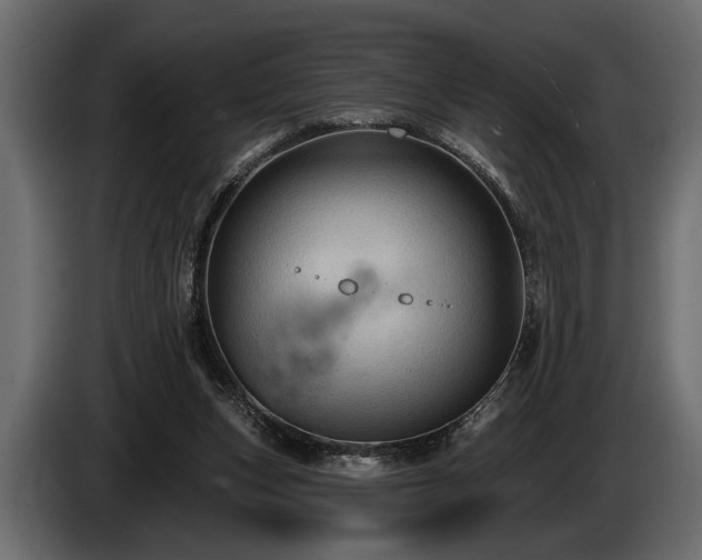 X0000085770159200703231231