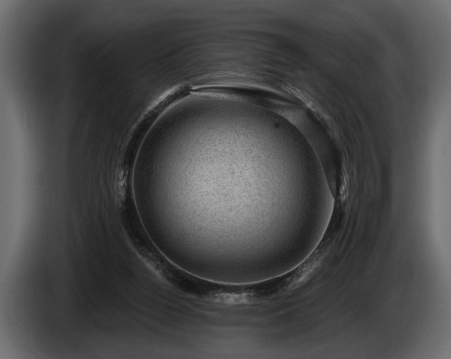 X0000085770160200703231231