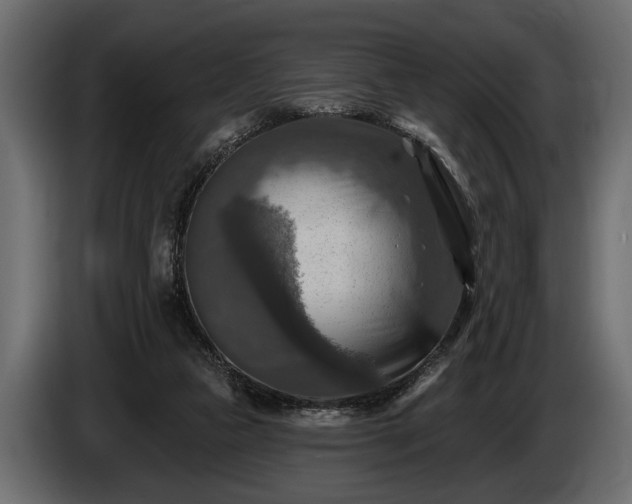 X0000085770161200703231231