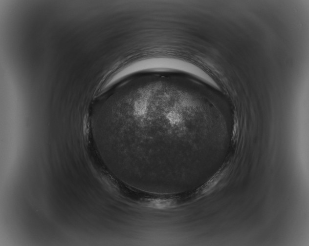 X0000085770168200703231231