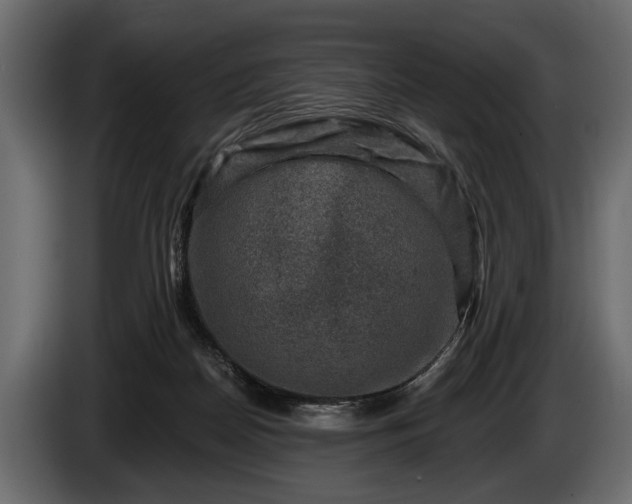 X0000085770170200703231231