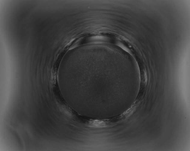 X0000085770180200703231231