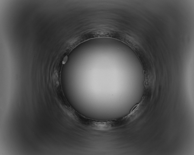 X0000085770187200703231231