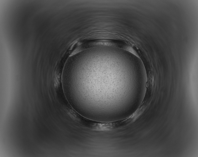 X0000085770188200703231231