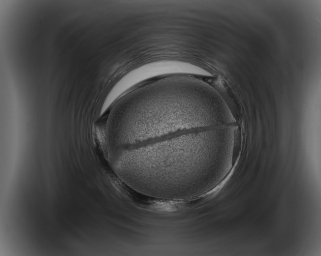 X0000085770190200703231231