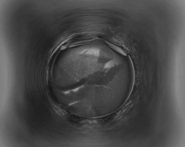 X0000085770194200703231231