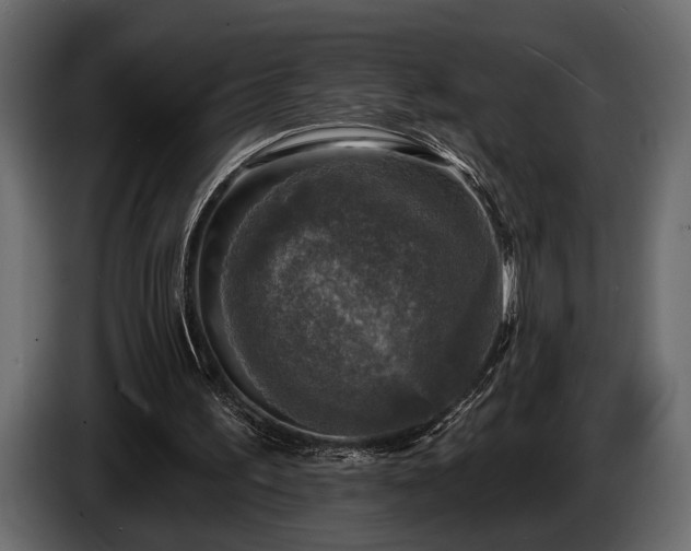 X0000085770195200703231231