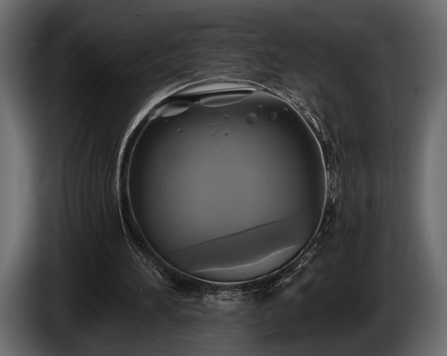 X0000085770196200703231231