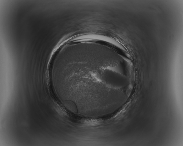 X0000085770198200703231231