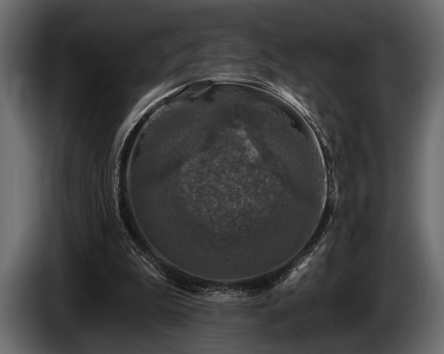 X0000085770199200703231231