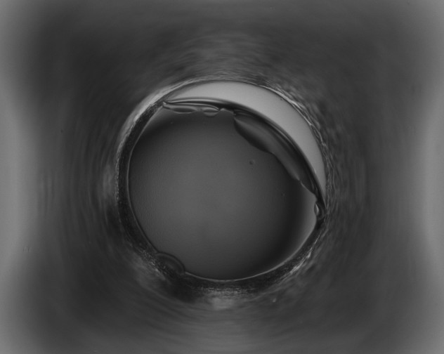 X0000085770200200703231231