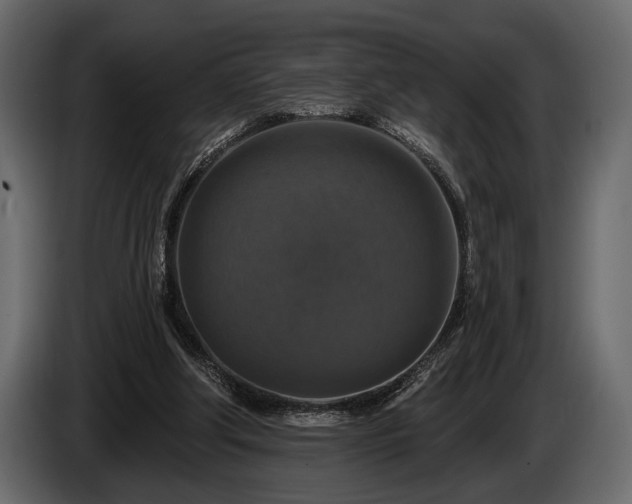 X0000085770202200703231231