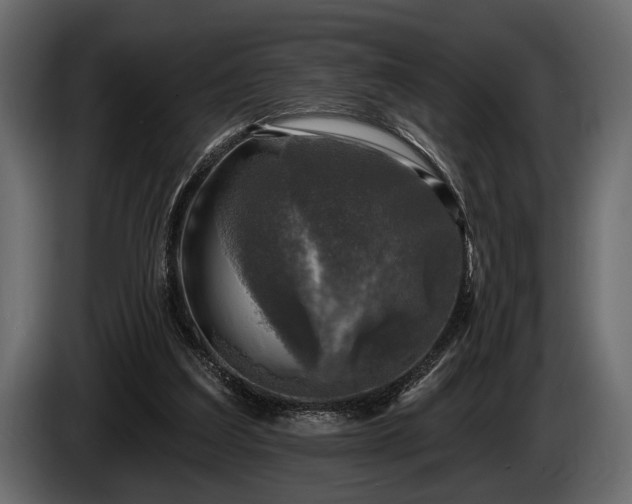 X0000085770203200703231231