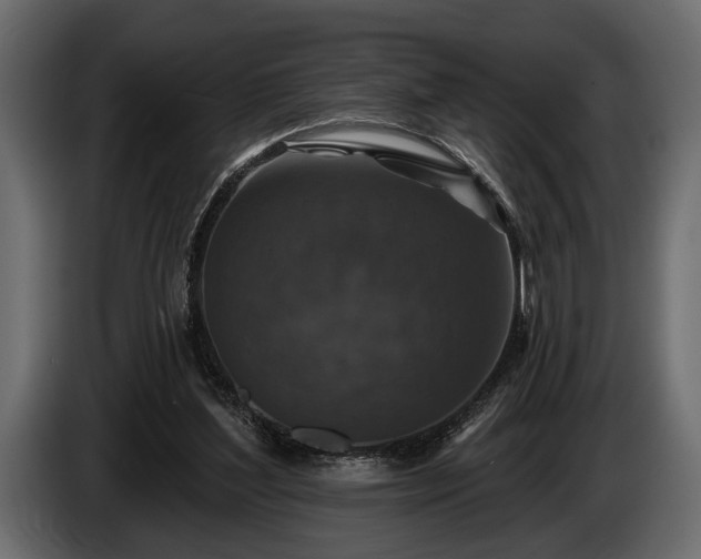 X0000085770204200703231231