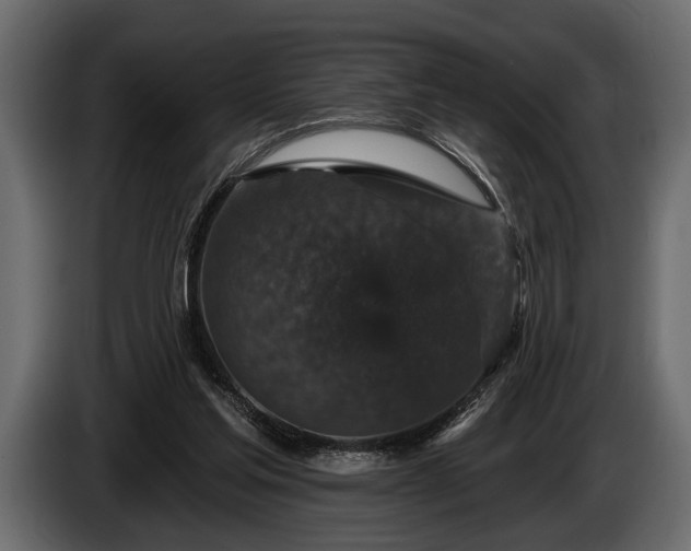 X0000085770205200703231231