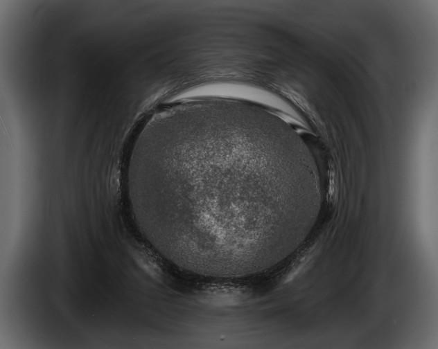 X0000085770207200703231231