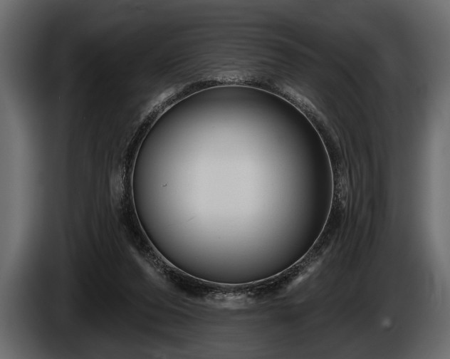 X0000085770208200703231231