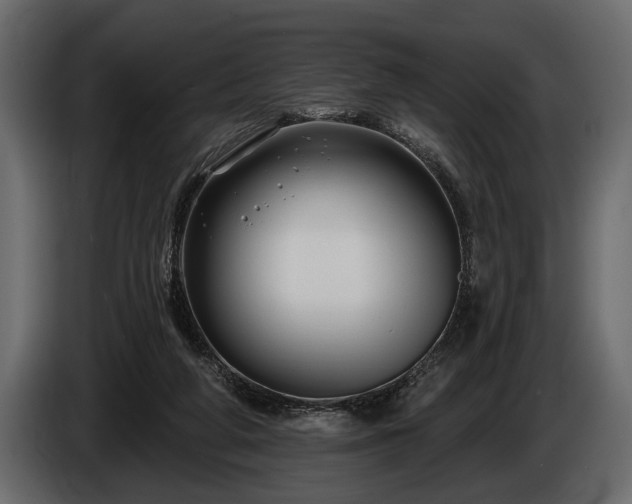 X0000085770210200703231231