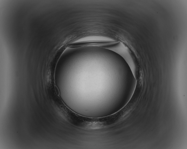 X0000085770212200703231231