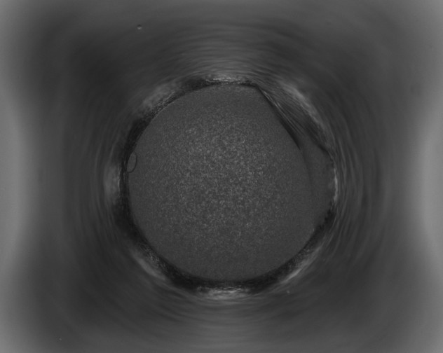 X0000085770213200703231231