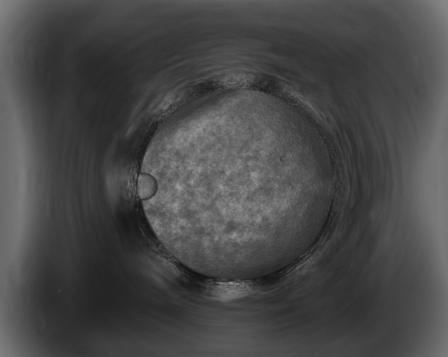 X0000085770240200703231230