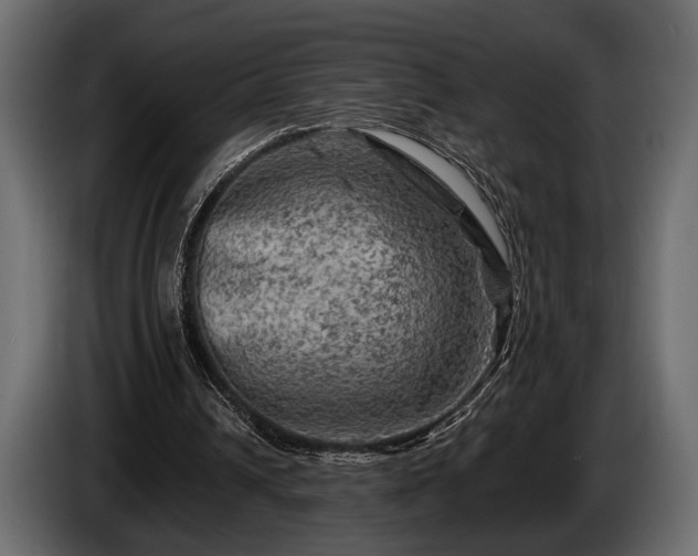 X0000085770242200703231229