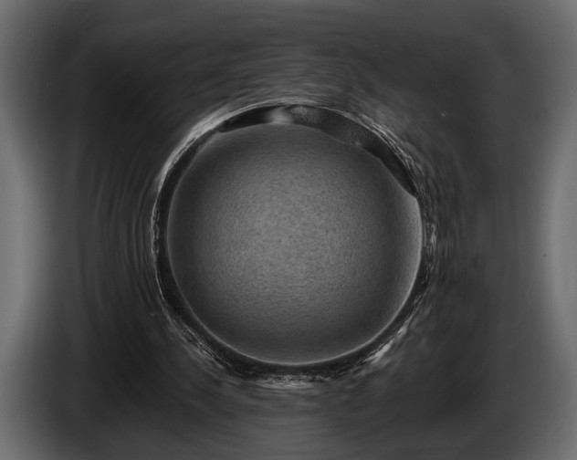 X0000085770244200703231229