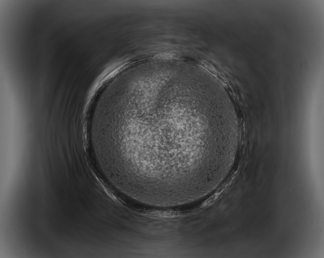 X0000085770245200703231230