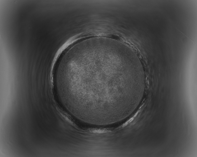 X0000085770246200703231230