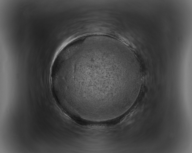 X0000085770248200703231230