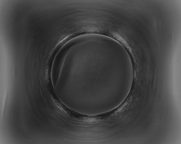 X0000085770249200703231230