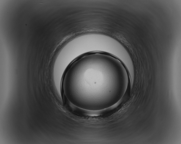 X0000085770256200703231230