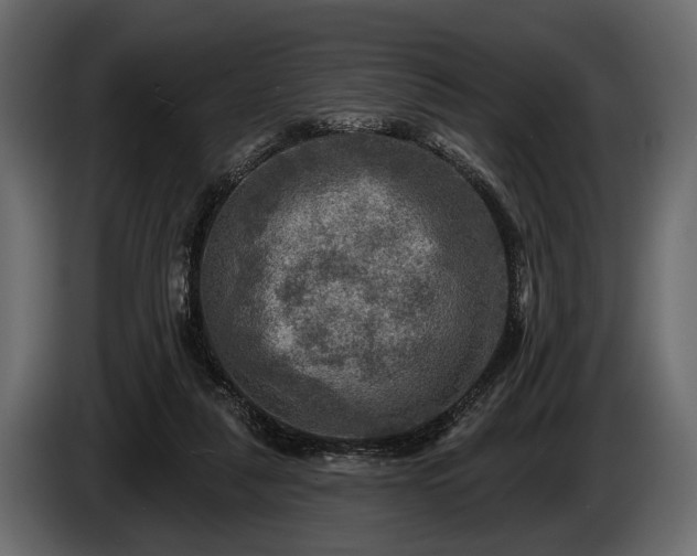 X0000085770259200703231230