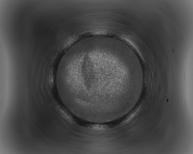 X0000085770261200703231230