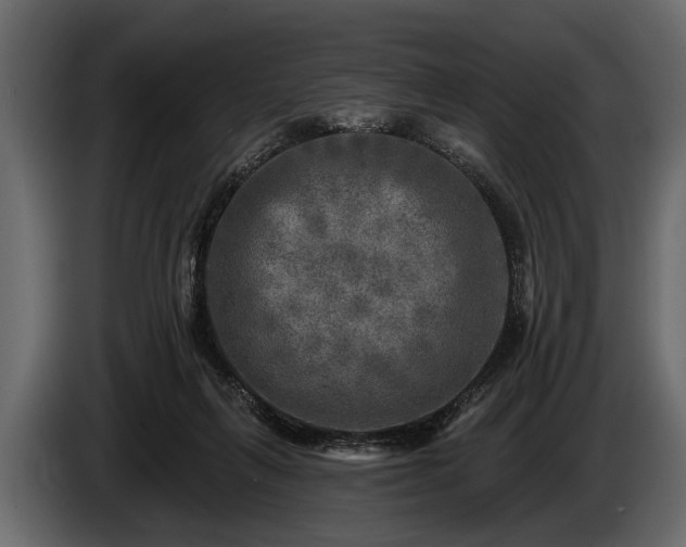 X0000085770263200703231230