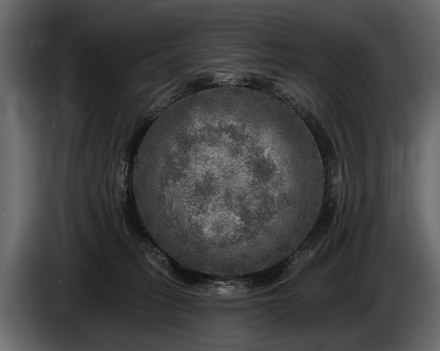 X0000085770275200703231230