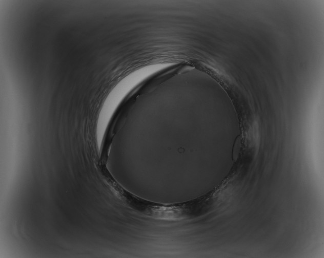 X0000085770277200703231230