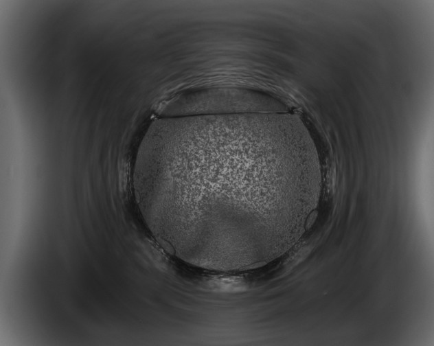 X0000085770283200703231230