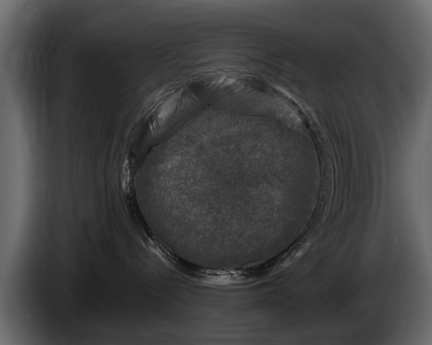 X0000085770288200703231230